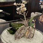 八王子うかい亭 - 鮑