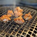 焼肉 ホルモンCHINTAN 麻布十番店 - 