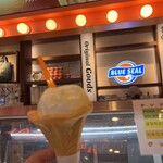 ブルーシール - 