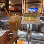 ブルーシール - 