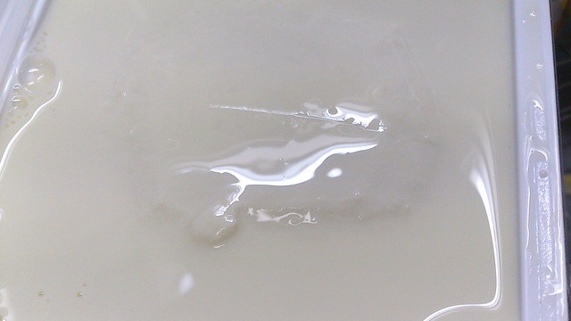 豆ぉ～ちゃん（トォーチャン） - 芦沢（その他）の写真