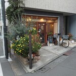 サイフォニスタ - 