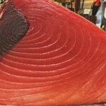 酒と魚 五臓六腑 - 