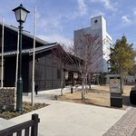 ニホンウナギ 大門 - 