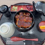 ニホンウナギ 大門 - 