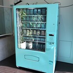 ティファニーカフェ ＠キャットストリート - 