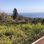 一夜城 ヨロイヅカ・ファーム - 