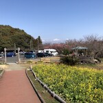 一夜城 ヨロイヅカ・ファーム - 