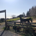 一夜城 ヨロイヅカ・ファーム - 