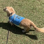 南阿蘇オーガニックカフェ ASOBIO - 