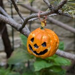 カーム ガーデン - 