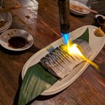 サカバ ゑびす堂 - 