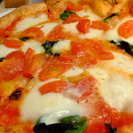 ピッツェリア　イルソーレ　天サン - スペシャル　マルゲリータ：サラダ・珈琲付きランチ：1290円