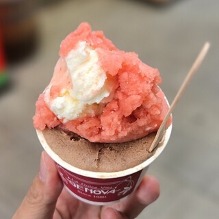 冷乳果工房GENOVA_1