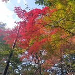 宮島茶寮 千景 - 