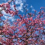 一夜城 ヨロイヅカ・ファーム - 