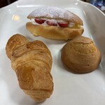 サザンカ - 