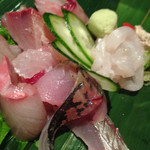Sushi Izakaya Kozaru - 刺し盛り