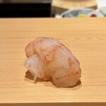 鮨 めい乃 - ボタンエビ