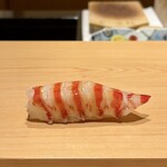 鮨 めい乃 - くるまえび