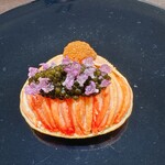 イル アオヤマ - 聖子ちやん♡ 美しい