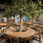 KAKA cheesecake store SAKURAZAKA - 