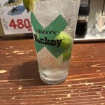 立呑み食堂　ねぎぼうず - 生すだちチューハイ