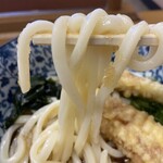さぬき一番 伊野店 - 腰のあるツルツル麺