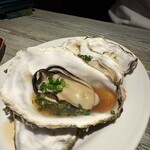 牡蠣 HachiRou 86 - 