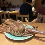 魚菜 基 - 