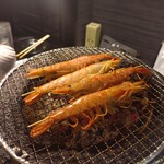 ひなとり - 
