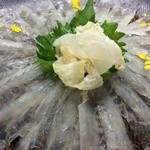 四季の味 玉寿司 - ふぐ刺し