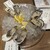 Oysterbar&Wine BELON - 料理写真: