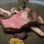 A TUTTA - 西浦のイノシシ