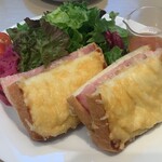 344331548 - クロックムッシュ