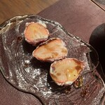 Potoro - 