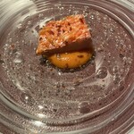 Potoro - 