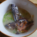 Shio Yu - ホゴの味噌汁