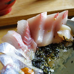 Shio Yu - 海鮮丼