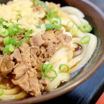 手打十段 うどんバカ一代 - 温 肉うどん 中 '15 1月上旬