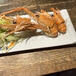 庵JUJU - 
