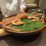 膳司 水光庵 - 