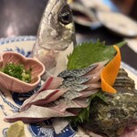 みなみ丸 合歓 - 