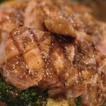 トラディシオン - 