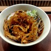 嵯峨谷 - 天ぷらそば