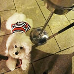 Jean-Georges Tokyo - 思いがけず素敵なアフターディナー