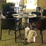 Jean-Georges Tokyo - このテーブルはジャンジョルジュ