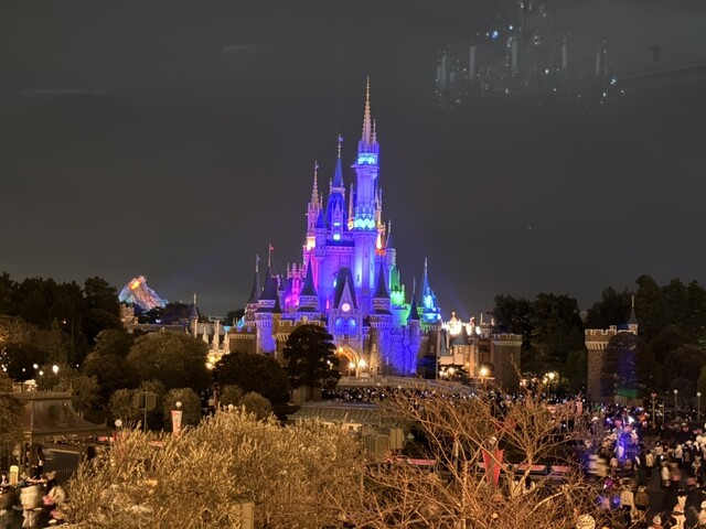 クラブ33 （club33） - 東京ディズニーランド・ステーション/フレンチ