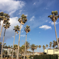 リストランテAO 逗子マリーナ - 
