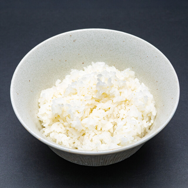 白ごはん《並》